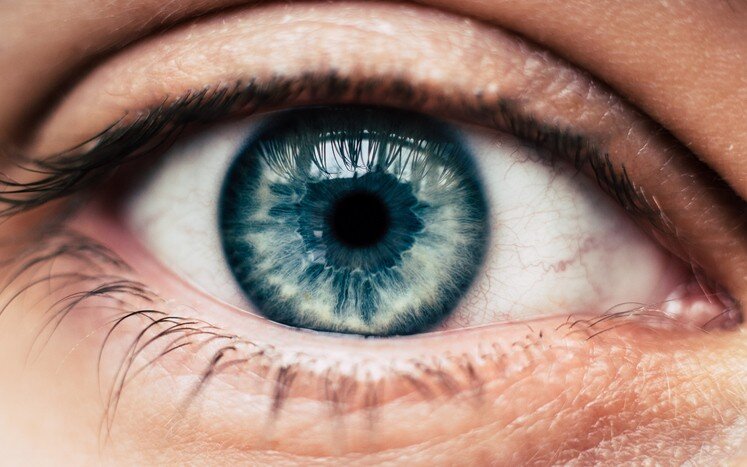 Doctors participating in an advanced ophthalmology training program using state-of-the-art equipment.