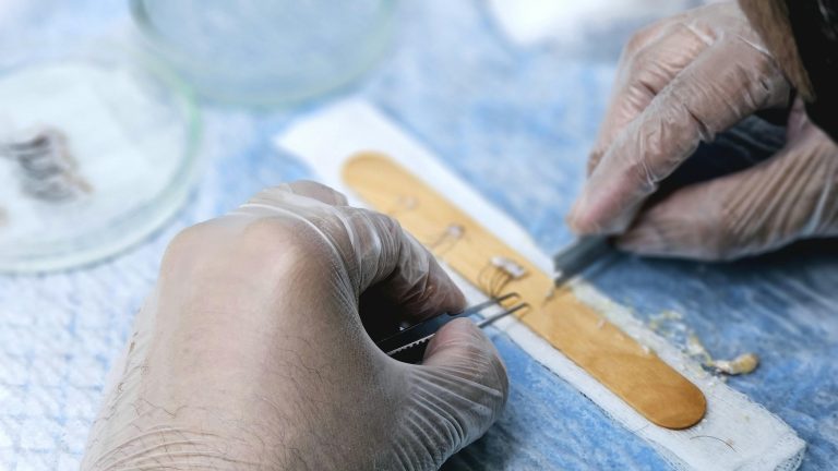 Hair transplantation course with hands-on training, teaching advanced FUE and DHI techniques for doctors and medical professionals."