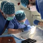 cadaver program turkey